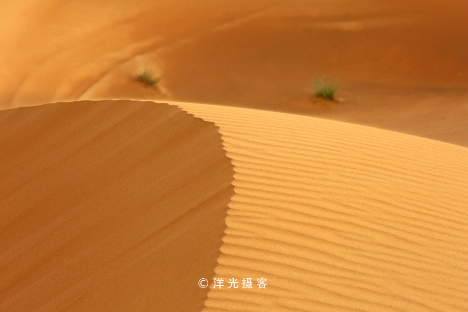 在迪拜体验阿拉伯服装,迪拜体验沙漠越野需要多少钱