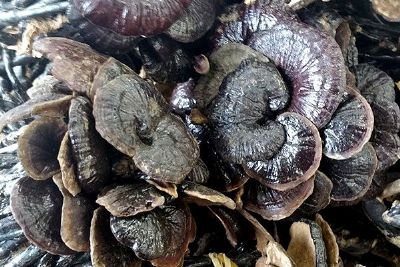 六安十大特产小吃,六安十大特产全部