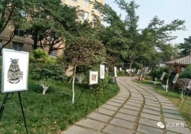 鎴愰兘姝﹂珮鎺掑悕绗嚑,鎴愰兘姝﹂珮