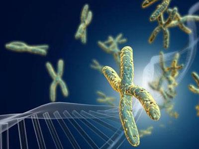 AZD9291耐药的肺腺癌患者怎么办?