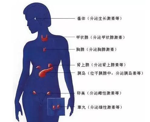史上最全面的检查项目解读,为了你及家人的健康