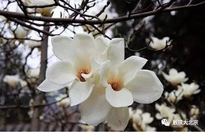 4月整整11天假!瓷器们,这些好消息请查收!