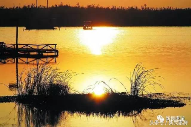 沙家浜，竹林幽径渔翁垂钓芦荡涛声