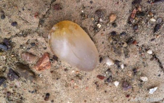 怎么区分新疆戈壁海蓝宝石的真假,价值400万的新疆戈壁海蓝宝石