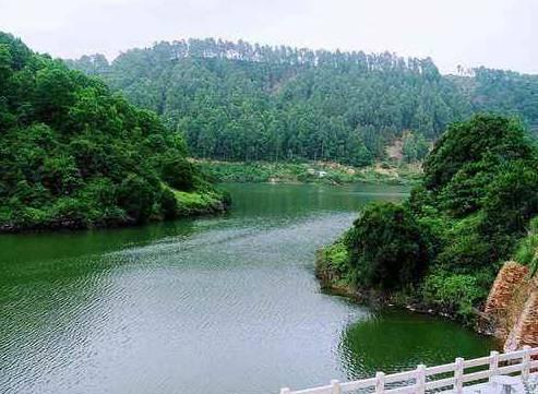 浜戝崡娉歌タ鍘跨編濂虫紓浜悧,浜戝崡绾㈡渤娉歌タ缇庡コ