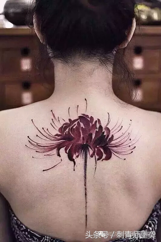 超强的花类纹身解析,喜欢花类纹身一定要知道