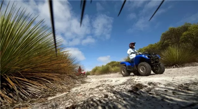 澳大利亚袋鼠岛旅游攻略,袋鼠岛旅游