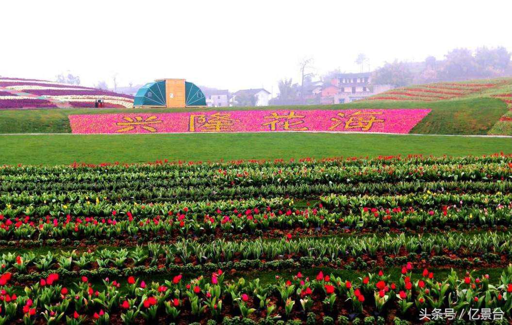 渝北区十大景点,渝北风景优美的景点