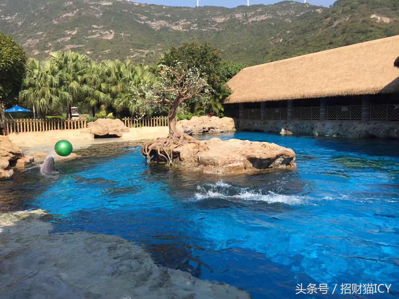 珠海长隆奇幻之旅,广州珠海长隆两天一夜攻略