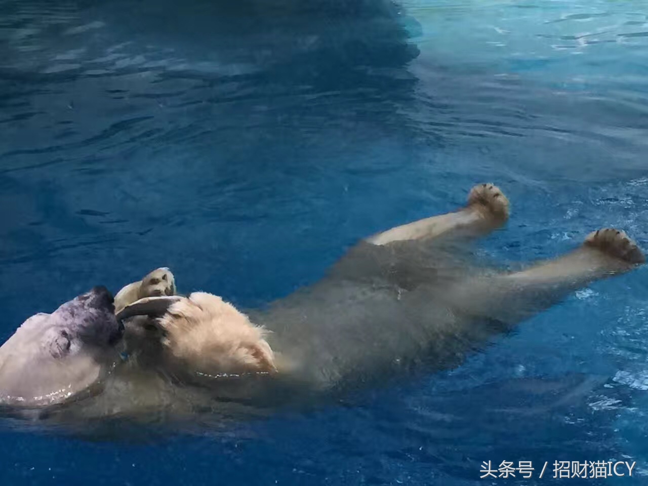 珠海长隆奇幻之旅,广州珠海长隆两天一夜攻略