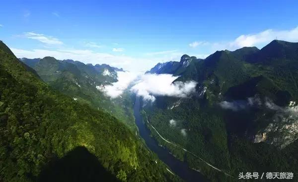 油桐花节完整视频,油桐花旅游节