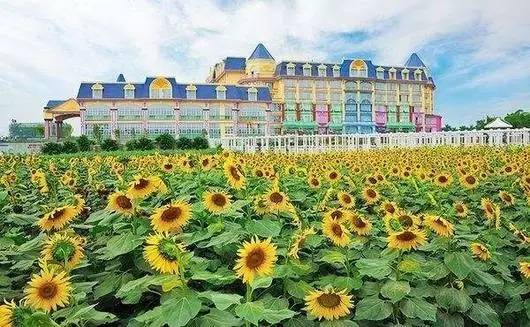 广州清明节假期旅游攻略路线推荐,清明节旅游推荐广州