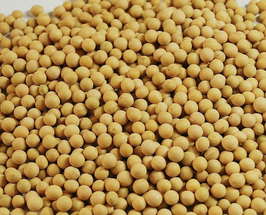 拯救干枯受损头发,干枯掉发脱发很严重怎么办