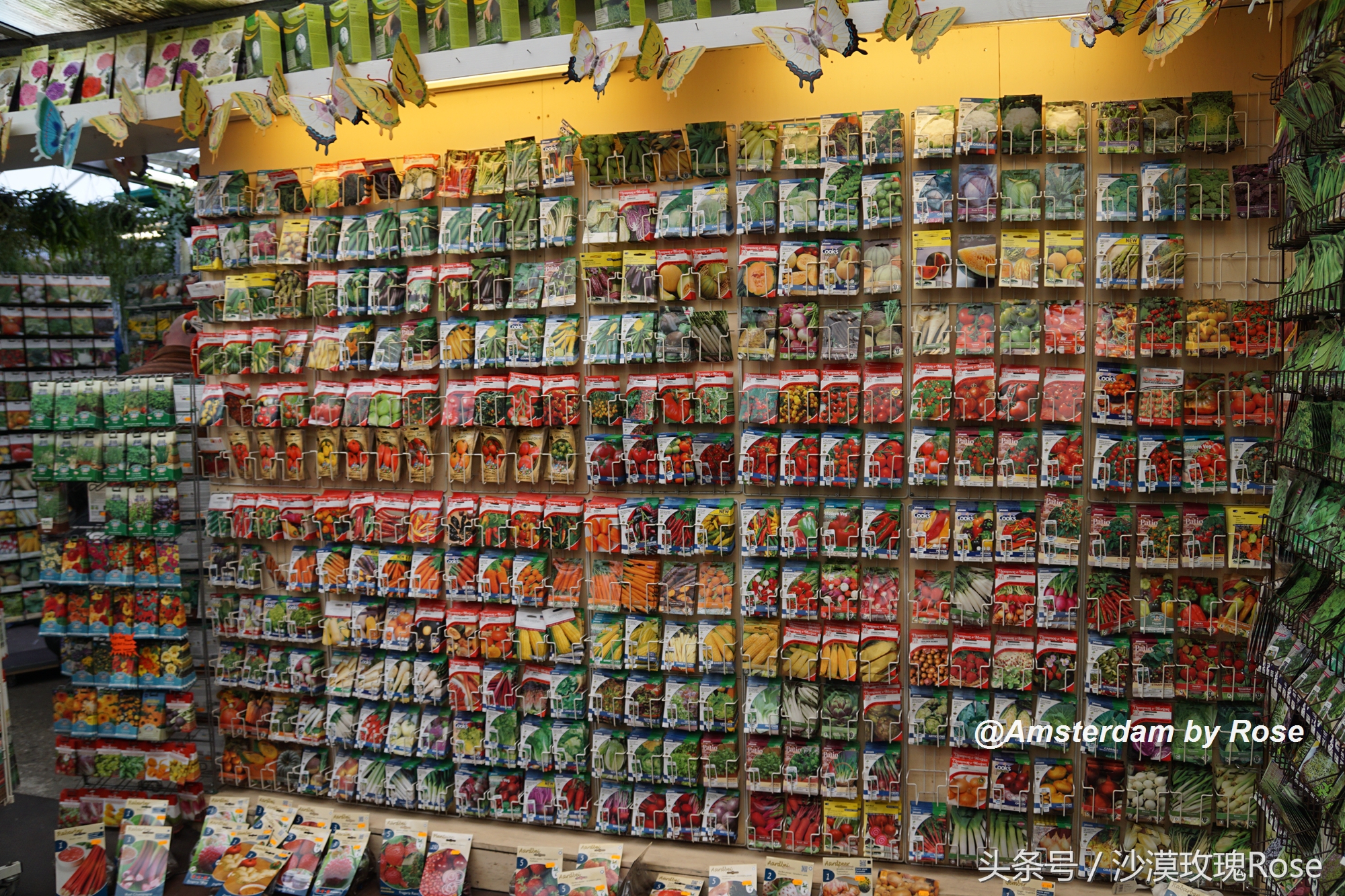 建在水上的鲜花市场，荷兰女王也骑车来买花