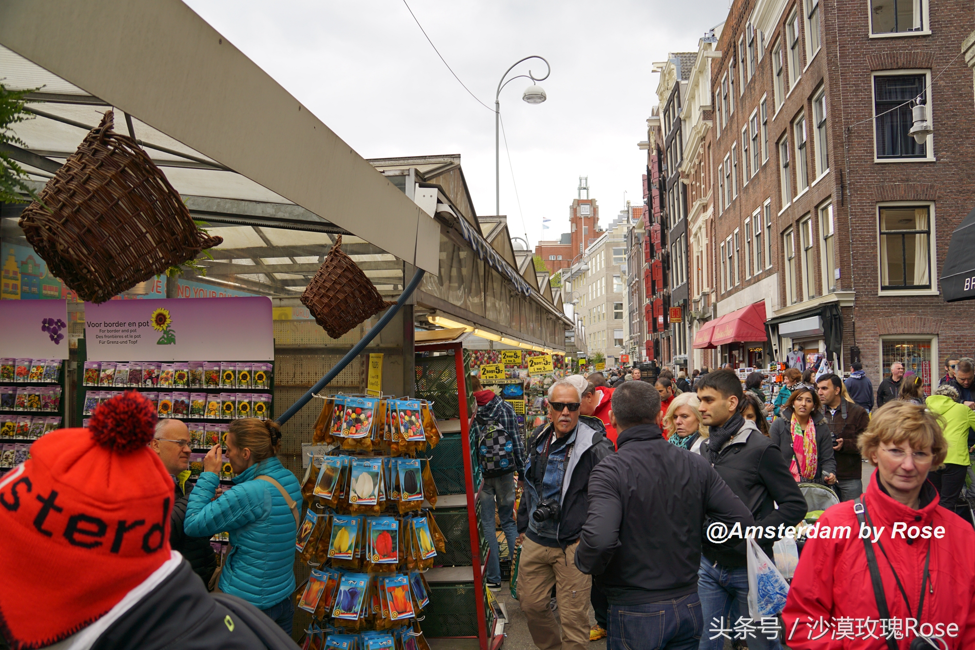 建在水上的鲜花市场，荷兰女王也骑车来买花