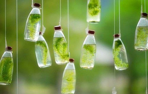 你可能坚持了“假”信仰