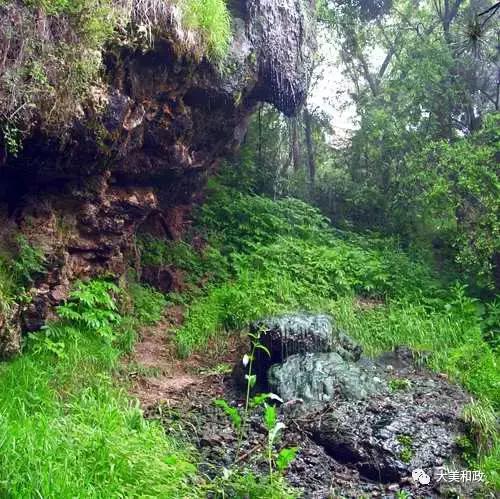 珠山公园旅游攻略,滴珠山公园景区