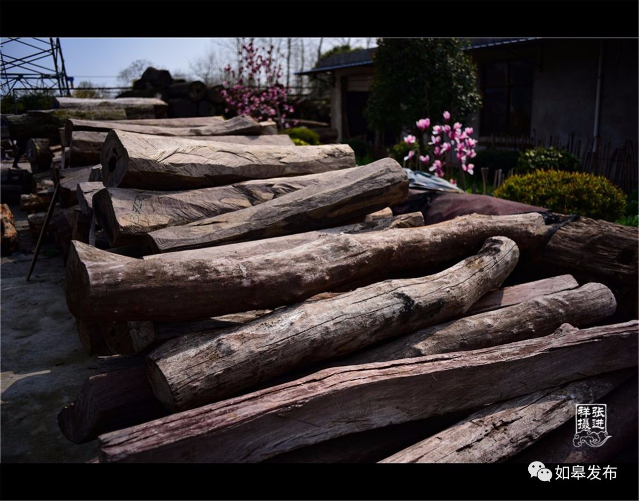 定了！从今天起，如皋白蒲古镇将列入每个人的旅行清单！