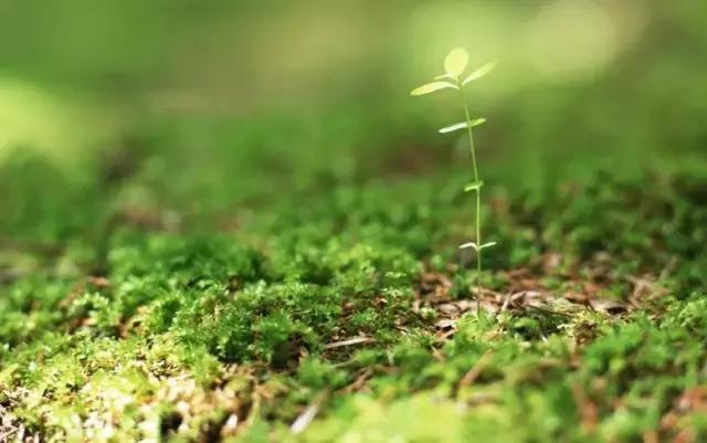 云台山青龙峡一日旅游攻略,5a青龙峡旅游