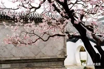 4月整整11天假!瓷器们,这些好消息请查收!