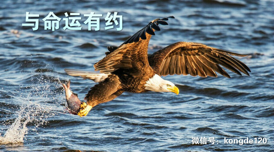 强迫症如何自我疗愈,强迫症的自我治疗方法