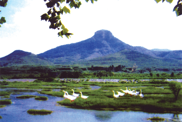 济南市长清区张夏镇工作,济南市长清区张夏镇三尖台