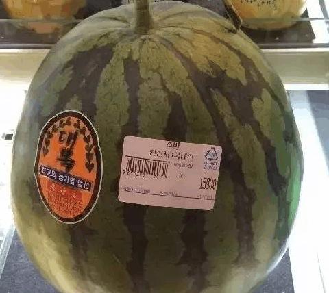 100元人民币在韩国能买什么东西,100元人民币换多少韩国币