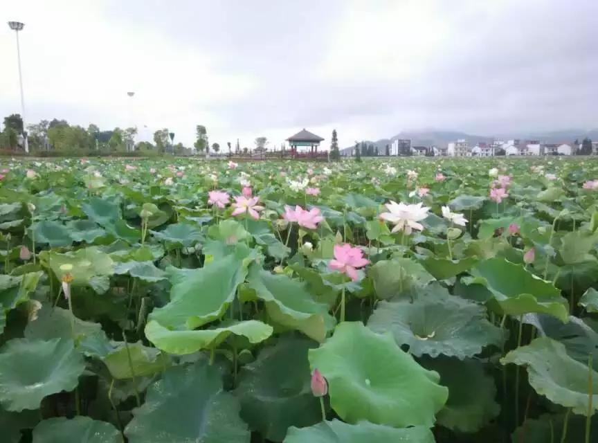 中港澳旅行,从广东出发环中国游路线