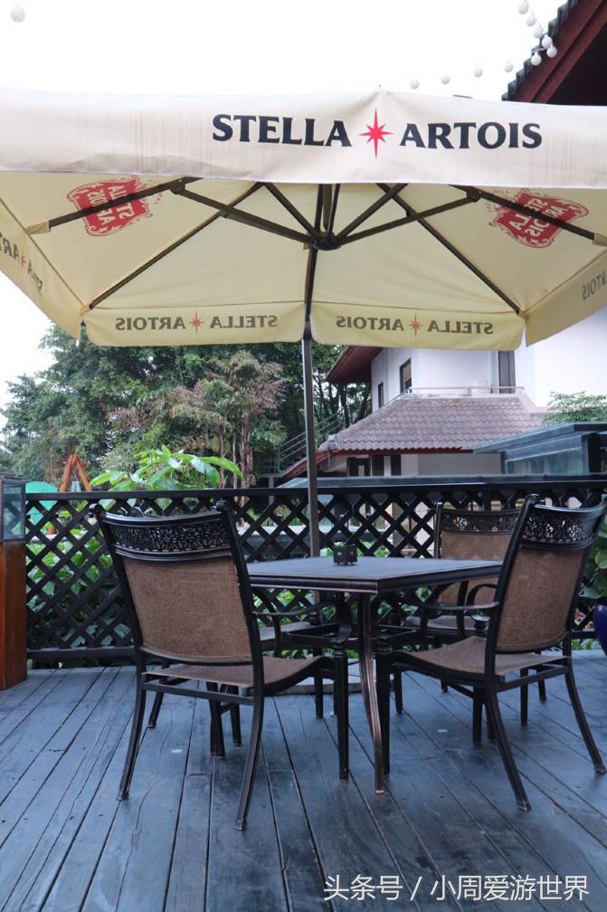 不用去日本深圳就能看樱花,日本樱花必看