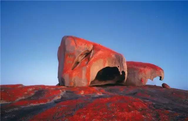 澳大利亚袋鼠岛旅游攻略,袋鼠岛旅游