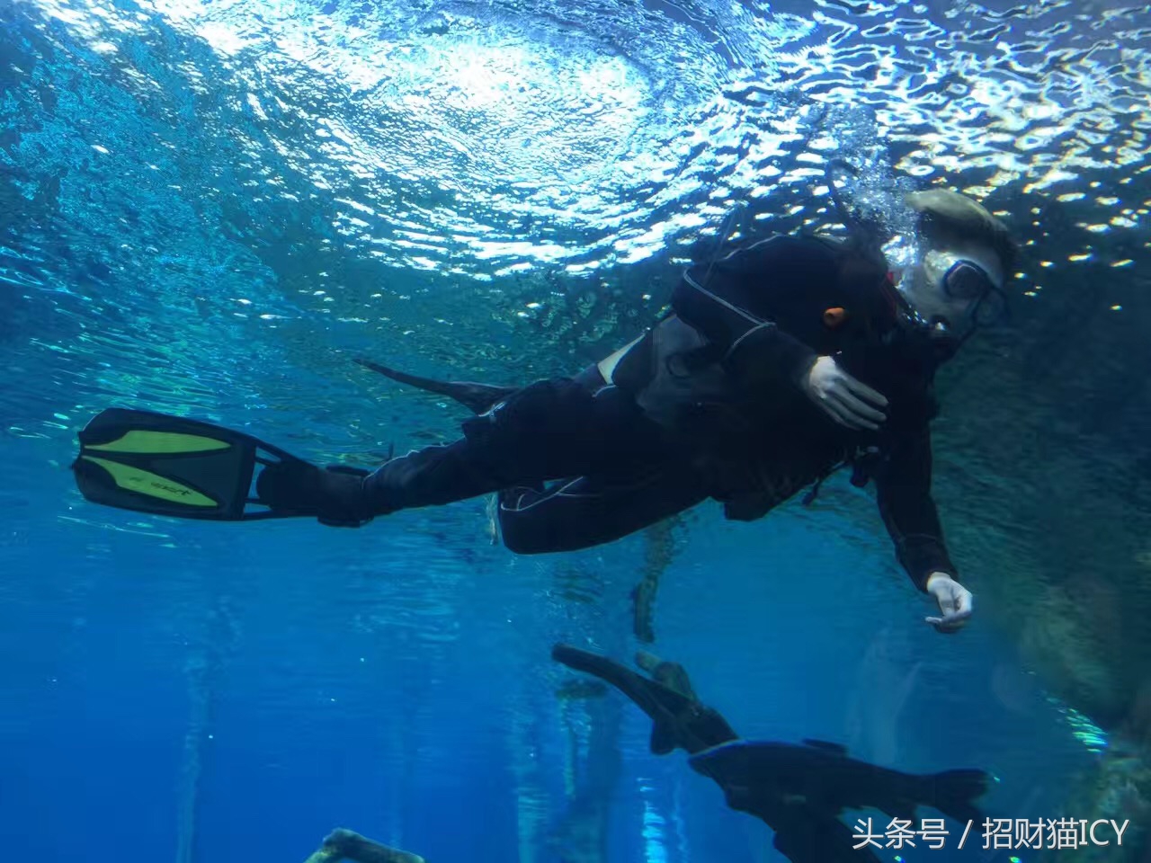 珠海长隆奇幻之旅,广州珠海长隆两天一夜攻略