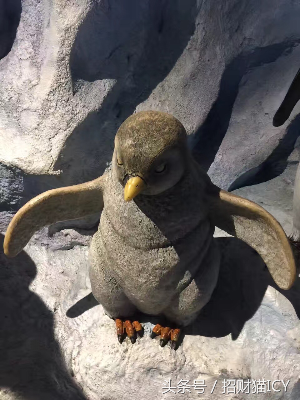 珠海长隆奇幻之旅,广州珠海长隆两天一夜攻略