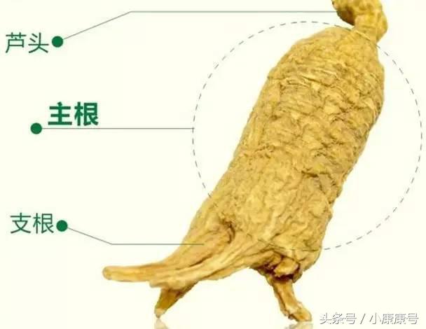 老中医谈西洋参,老中医讲进口西洋参