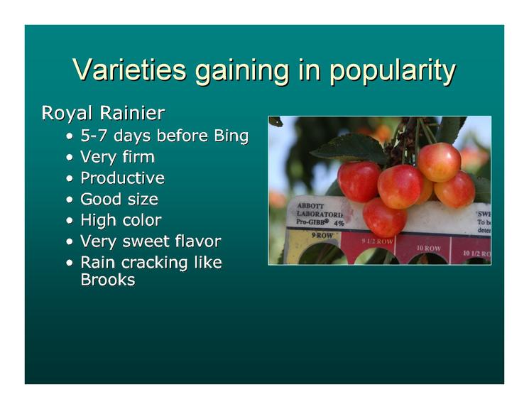 甜樱桃可持续发展的措施,美国加州樱桃