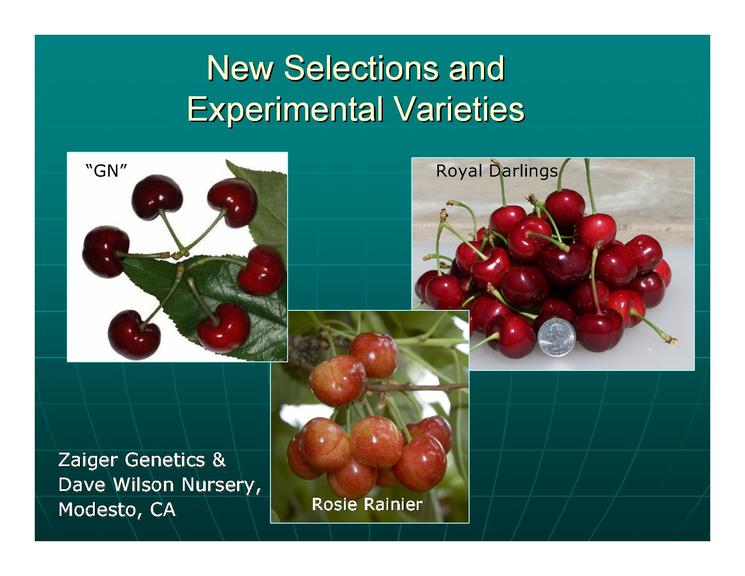 甜樱桃可持续发展的措施,美国加州樱桃