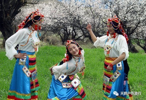 去西藏的魅力有多强,西藏美丽的藏族