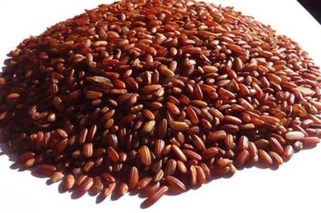 拯救干枯受损头发,干枯掉发脱发很严重怎么办