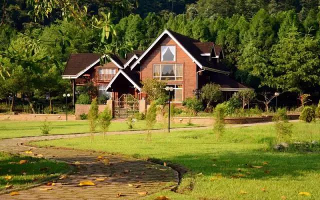 镇兴中国丨广大乡村,才是一块又香又大的肥肉