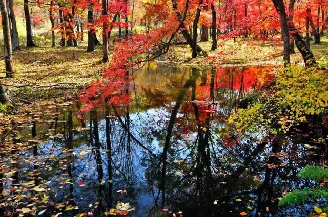 吉林泡澡的地方,吉林市哪里有泡澡的