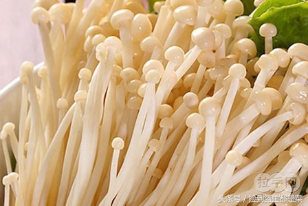 金针菇怎么解决菇湿,金针菇烂了怎么治疗