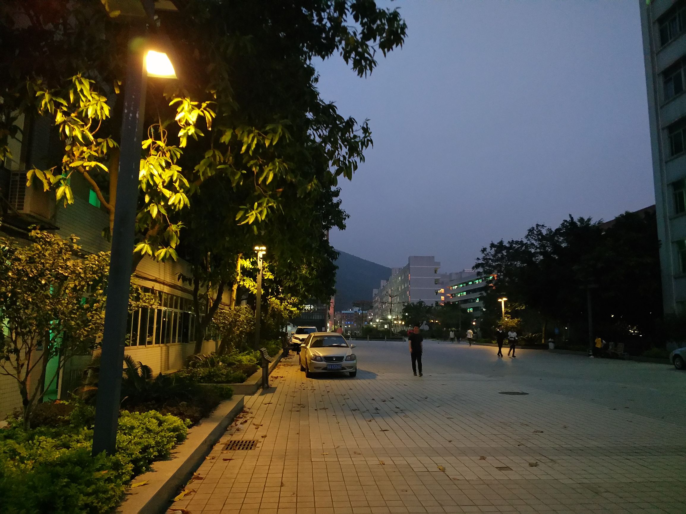 鎵嬫満xplay6娣卞害瑙f瀽,xplay6璇勫垎