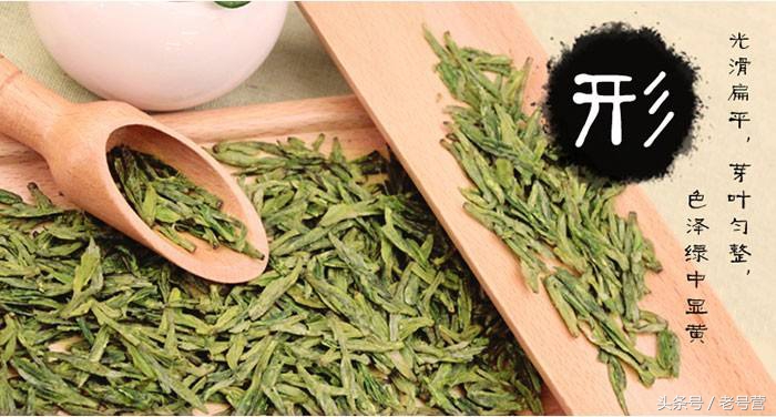 明前茶叶新品茶,茶叶品牌老字号口粮茶