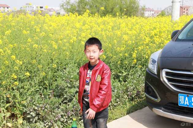 标致5008车主用车感受,标致4008车主真实感受