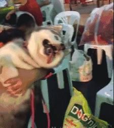 被*蛇钻毒**进裤裆里差点一发入洞