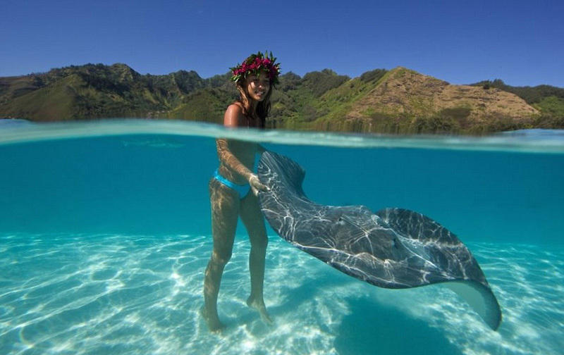 去三亚玩潜水的危害,去海岛潜水需要带什么