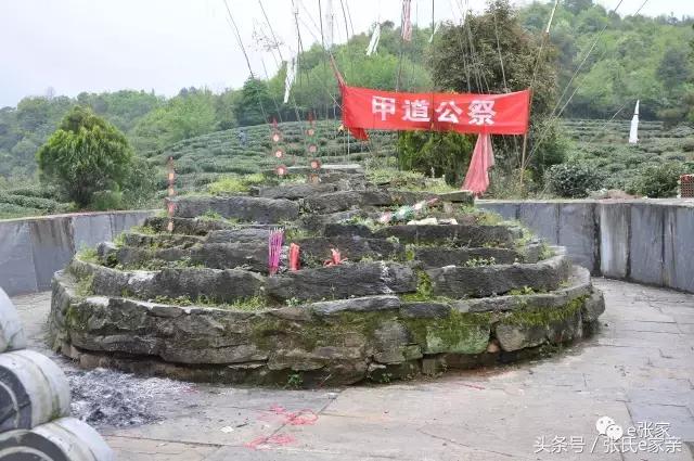 张姓为什么号称天下第一世家,张姓家谱道字辈排行