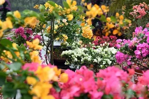 海口游玩攻略必去景点,海口旅游日常攻略大全最新