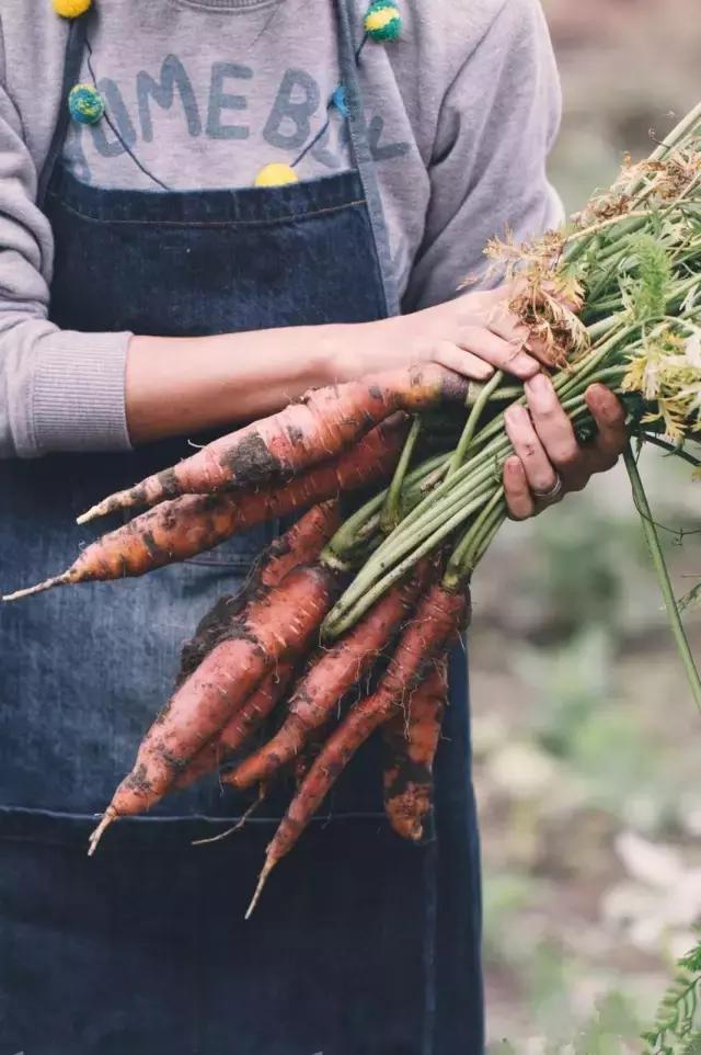 她是“成都第一私房菜美女老板”，与李易峰合作，和方大同录节目