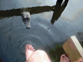 一根香蕉开啤酒瓶，你也可以