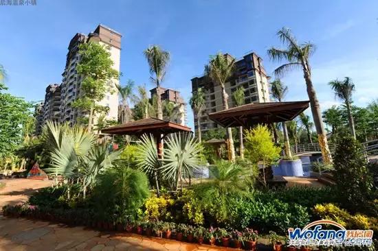 海南澄迈老城后海温泉小镇,海南温泉小镇户型
